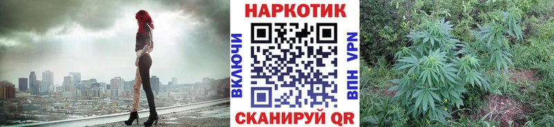 Где купить наркотики Избербаш Галлюциногенные грибы Cocaine ГАШ МЕТАДОН Марихуана МЕФ