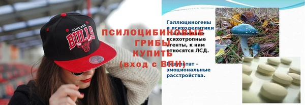 apvp Елабуга