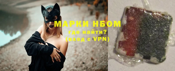 стаф Ельня