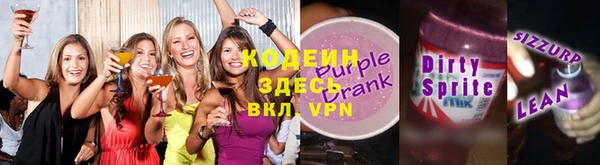 дмт Елизово