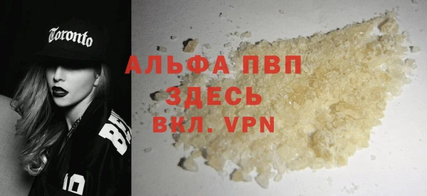 стаф Ельня