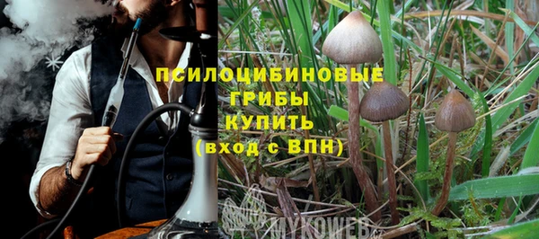 apvp Елабуга