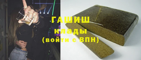 стаф Ельня