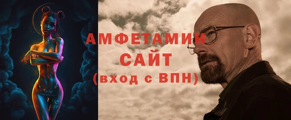 стаф Ельня