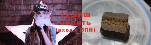 стаф Ельня