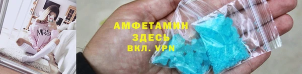 стаф Ельня