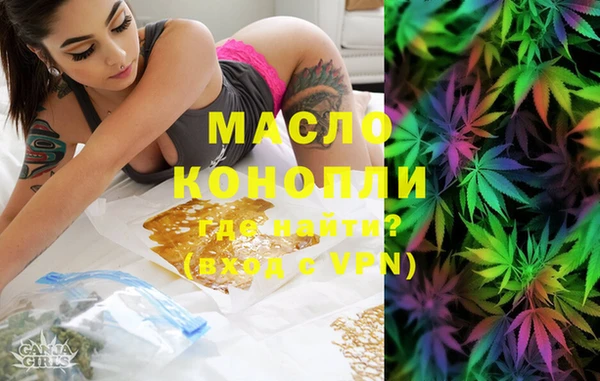 стаф Ельня