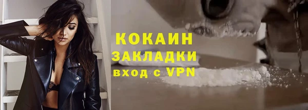 дмт Елизово