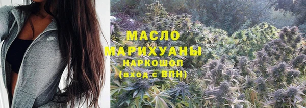 стаф Ельня