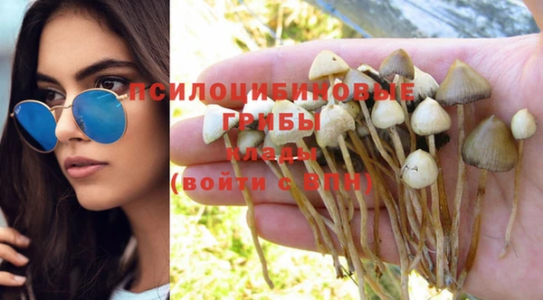 дмт Елизово