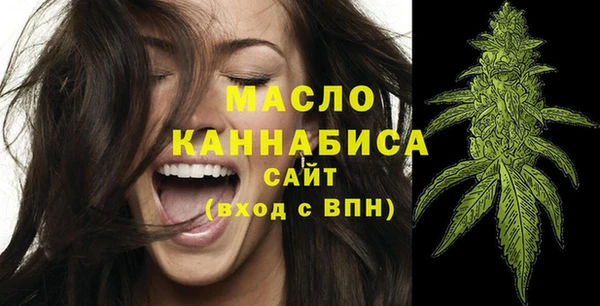 дмт Елизово