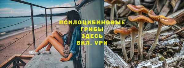 дмт Елизово