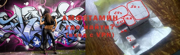 стаф Ельня