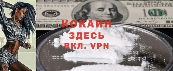 дмт Елизово