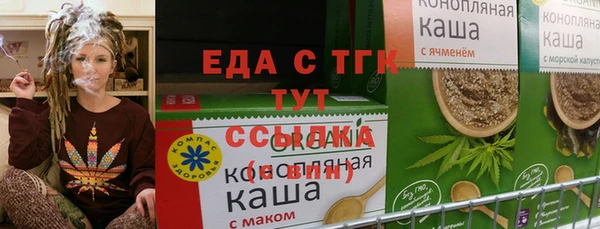 стаф Ельня