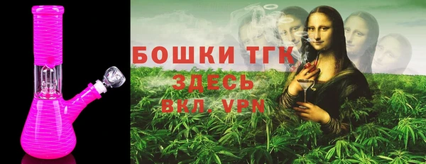 стаф Ельня