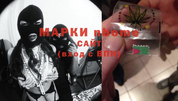 стаф Ельня