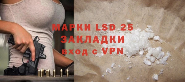 стаф Ельня