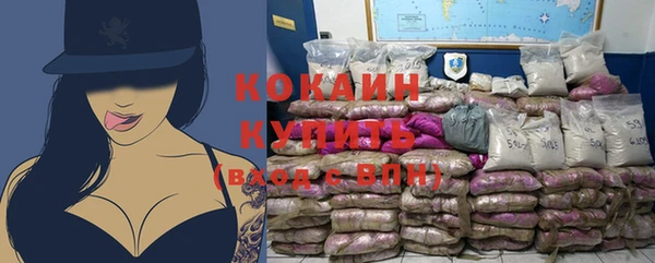 дмт Елизово