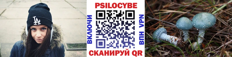 сколько стоит  Избербаш  Галлюциногенные грибы Magic Shrooms 