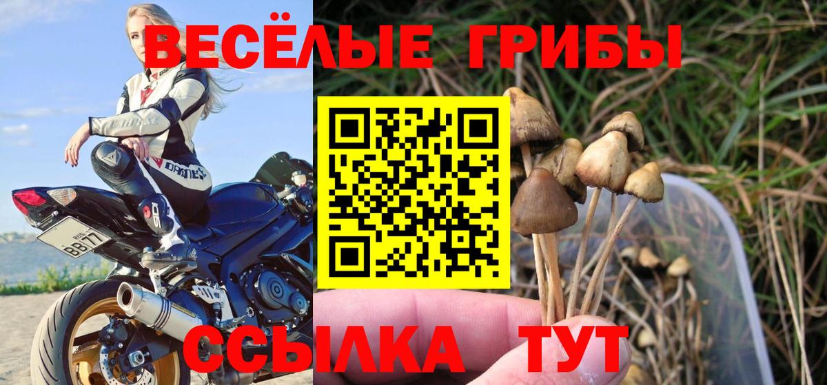 Избербаш  Галлюциногенные грибы MAGIC MUSHROOMS  Псилоцибиновые грибы прущие грибы  Вход с VPN 